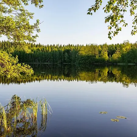 Lingonberry Pieni Moekki Saunalla Alpehytte Mikkeli