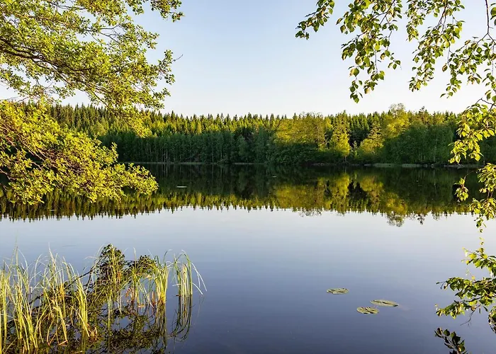 Lingonberry Pieni Moekki Saunalla Domek alpejski Mikkeli